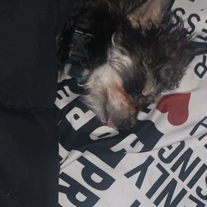 Meet your Posher, Robert